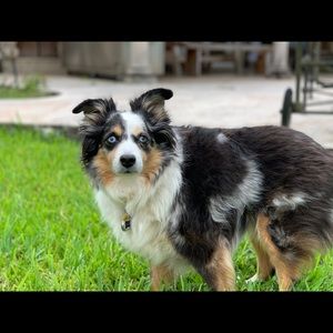 Meet your Posher, Kristine